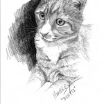 "Bhakti" Pet Portraits In Charcoal