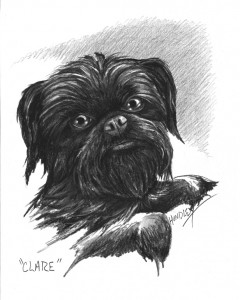 "Clare" Pet Portraits In Charcoal