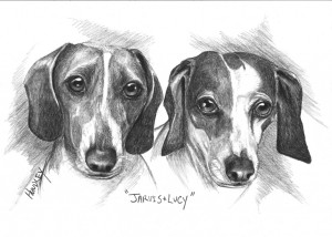 "Jarvis & Lucy" Pet Portraits In Charcoal