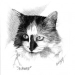 "Savannah" Pet Portraits In Charcoal