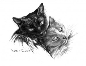 "Jack & Toonces" Pet Portraits In Charcoal