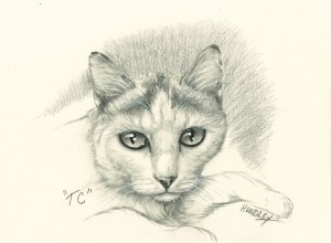 "TC" Pet Portraits In Charcoal