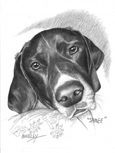 "Sarge" Pet Portraits In Charcoal